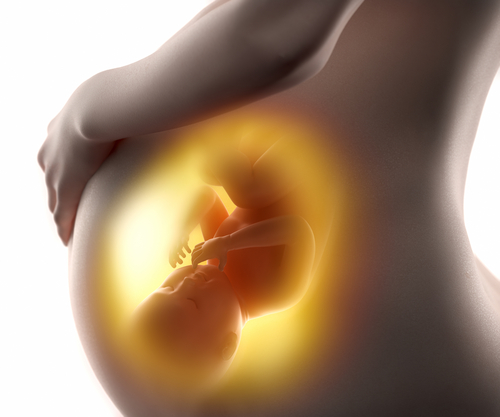 Nell’utero i feti reagiscono a gusto e odore